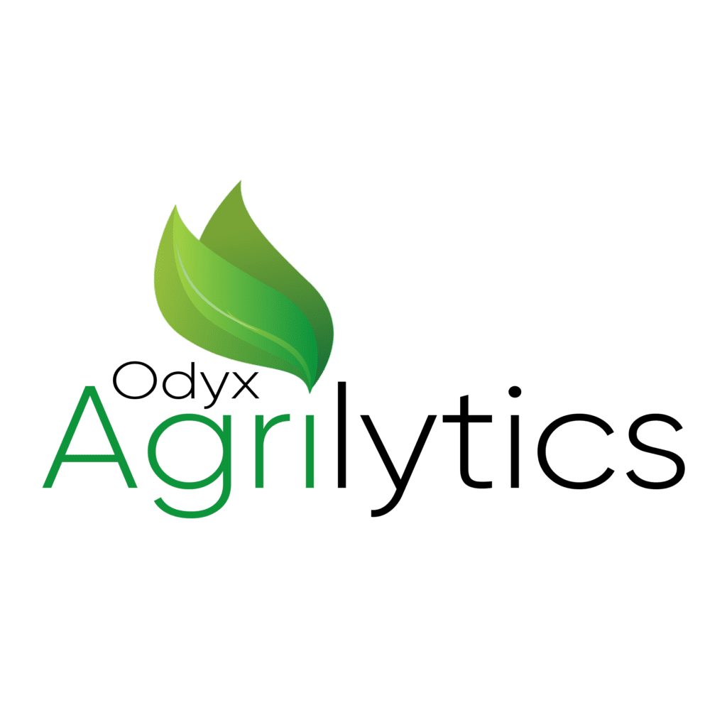 Digital Transformation Software Consulting Company - Odyssey Analytics